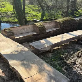 Bild von Matt Hale Tree Surgery Ltd