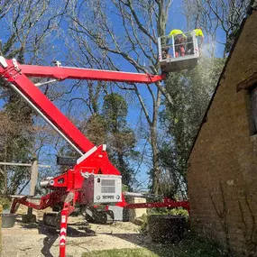 Bild von Matt Hale Tree Surgery Ltd