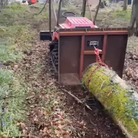 Bild von Matt Hale Tree Surgery Ltd