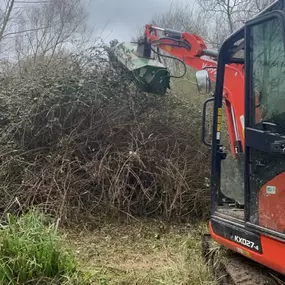 Bild von Matt Hale Tree Surgery Ltd