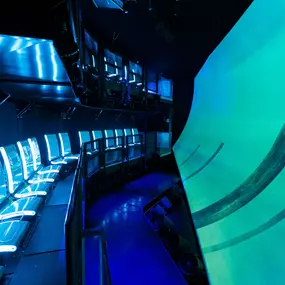 Bild von Flyer Thrill Zone & 7D Experience