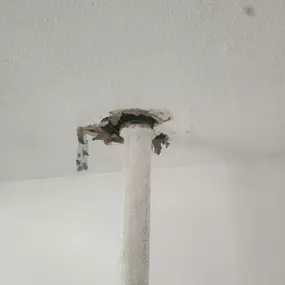 Bild von SMP Plumbing Company