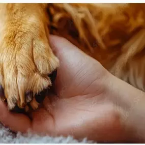 Bild von Tierbestattungen Haas