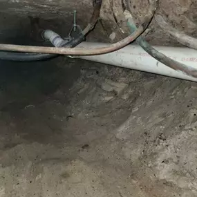 Bild von Drain King Plumbing