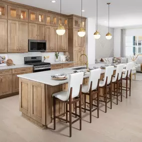 Open kitchens with central islands and plenty of cabinetry for storage