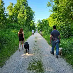Hundeschule Martin Rütter Göppingen-Heidenheim Menschengruppe mit Hunden beim Gruppenspaziergang auf einem breiten Naturweg. Szene für Social Walk, Hundebegegnungen und kontrollierte Gruppenerfahrungen.
