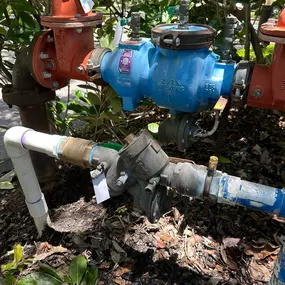 Bild von Llona Plumbing