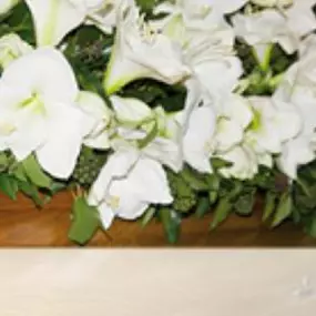 Bild von Albert Sauter Bestattungen GmbH & Co.KG