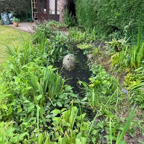 Bild von SJH Ponds & Aquariums