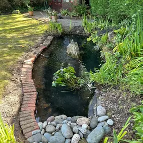 Bild von SJH Ponds & Aquariums
