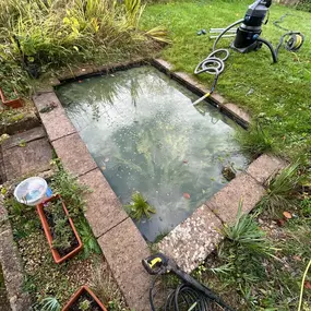 Bild von SJH Ponds & Aquariums