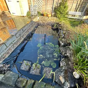 Bild von SJH Ponds & Aquariums