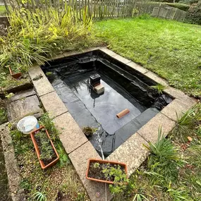 Bild von SJH Ponds & Aquariums