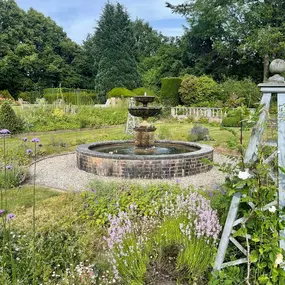 Bild von SJH Ponds & Aquariums