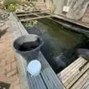 Bild von SJH Ponds & Aquariums