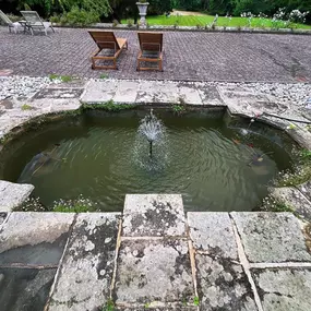 Bild von SJH Ponds & Aquariums