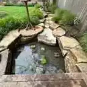 Bild von SJH Ponds & Aquariums