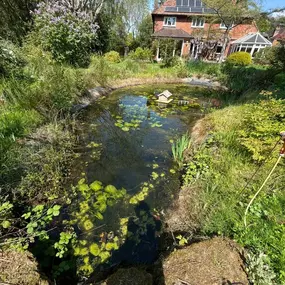 Bild von SJH Ponds & Aquariums