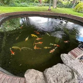 Bild von SJH Ponds & Aquariums