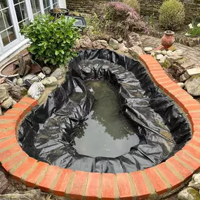 Bild von SJH Ponds & Aquariums
