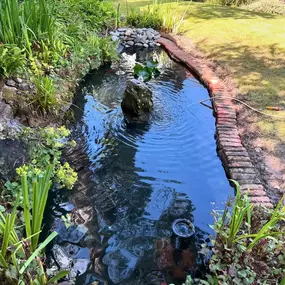Bild von SJH Ponds & Aquariums