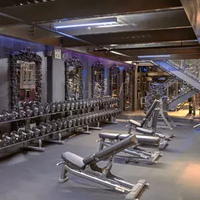 Bild von Mode Gym