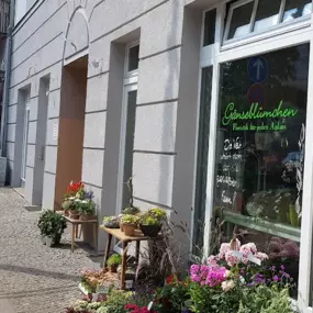 Bild von Gänseblümchen Blumen & Floristik Inh. Nicole Arndt