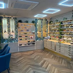 Bild von Kings Opticians