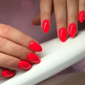 Bild von Venüs Waxing & Beauty Studio