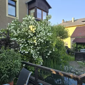 Bild von Fremdenheim 