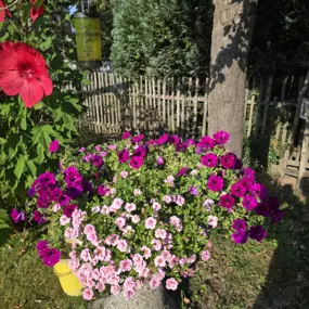 Bild von Fremdenheim 