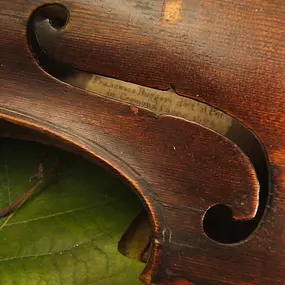 Bild von Geigenbauatelier Trautmann, München
