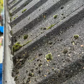 Bild von South West London and Surrey Gutter Cleaning