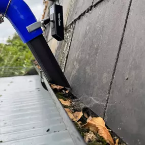 Bild von South West London and Surrey Gutter Cleaning