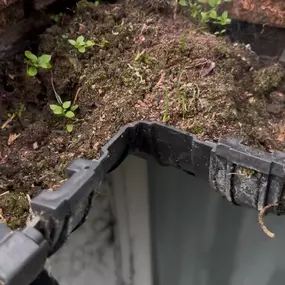 Bild von South West London and Surrey Gutter Cleaning