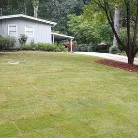 Bild von Trimlawn Landscaping Companies