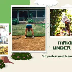 Bild von Trimlawn Landscaping Companies