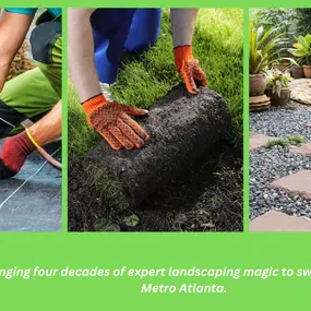 Bild von Trimlawn Landscaping Companies