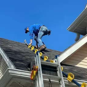 Bild von Genuine Pest Control