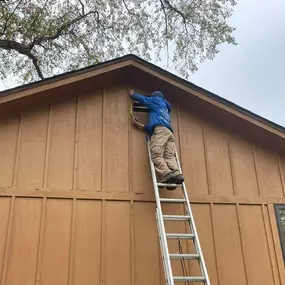 Bild von Genuine Pest Control