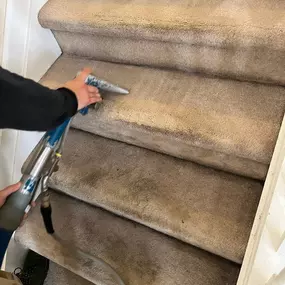 Bild von Clear D.A.G Carpet Cleaners