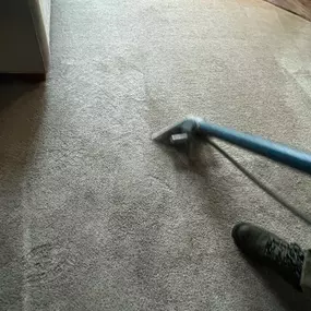 Bild von Clear D.A.G Carpet Cleaners