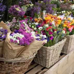 Bild von Gärtnerei Koop