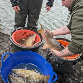 Bild von Bardag Angling Club