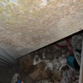 Bild von Abdichtungspartner