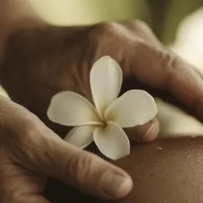 Bild von alma y sol - massage by Fabian