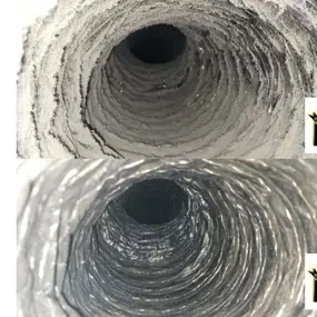 Bild von Dynasty Ducts