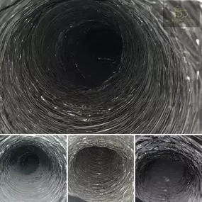 Bild von Dynasty Ducts