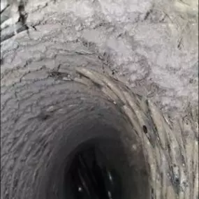 Bild von Dynasty Ducts