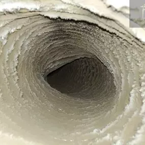 Bild von Dynasty Ducts